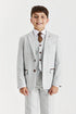 Boys Mark: Stone Check 3-Pc Suit